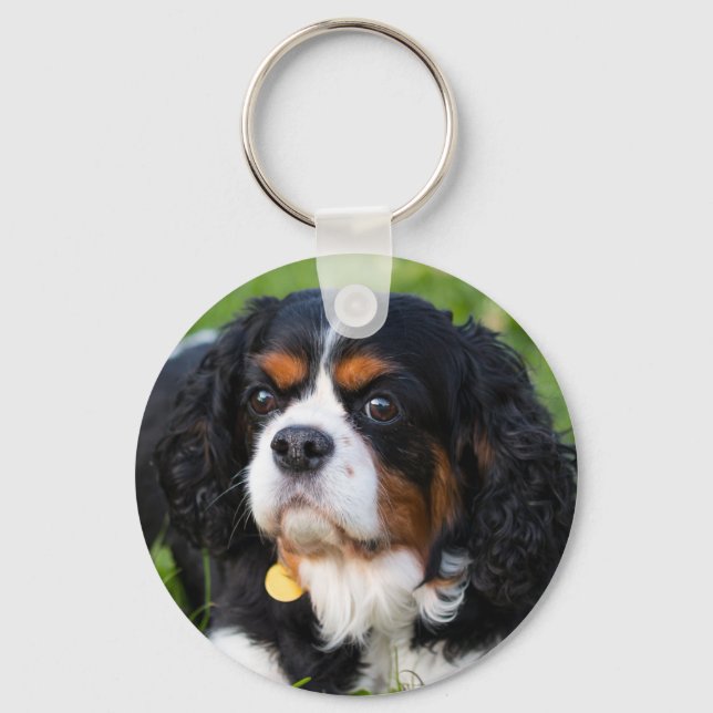 Porte-clés Tri Couleur Cavalier King Charles Spaniel Chien (Recto)