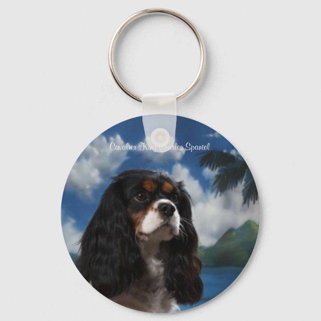 Porte-clés Tri-couleur porte - clé (Recto)