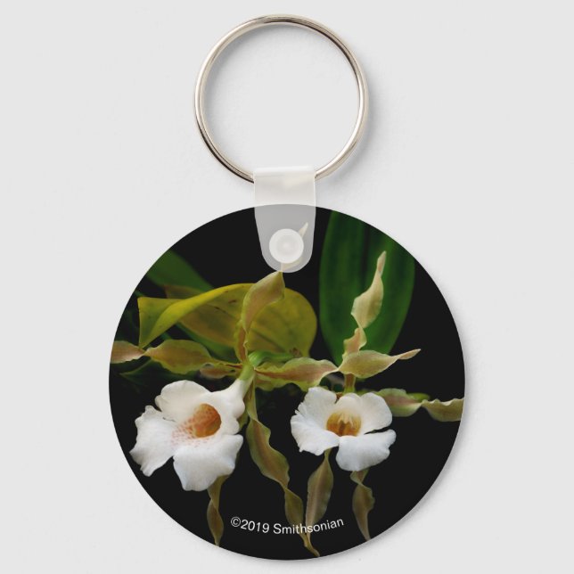 Porte-clés Trichopilia Tortilis (Recto)