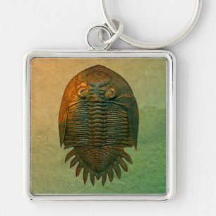 Porte-clés Trilobite Fossil Neometacanthus