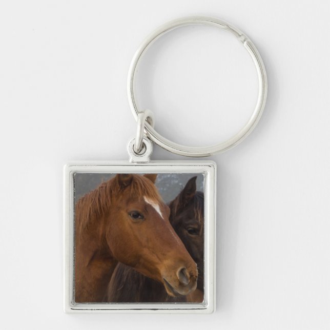 Porte-clés Triplets de chevaux (Devant)
