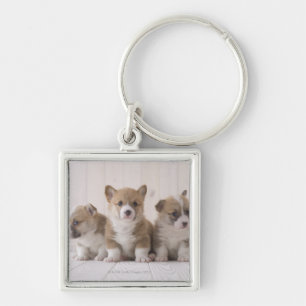 Porte-clés Trois corgis de Gallois