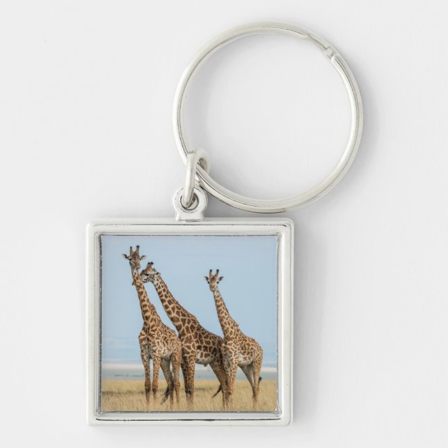 Porte-clés Trois girafes posant (Devant)