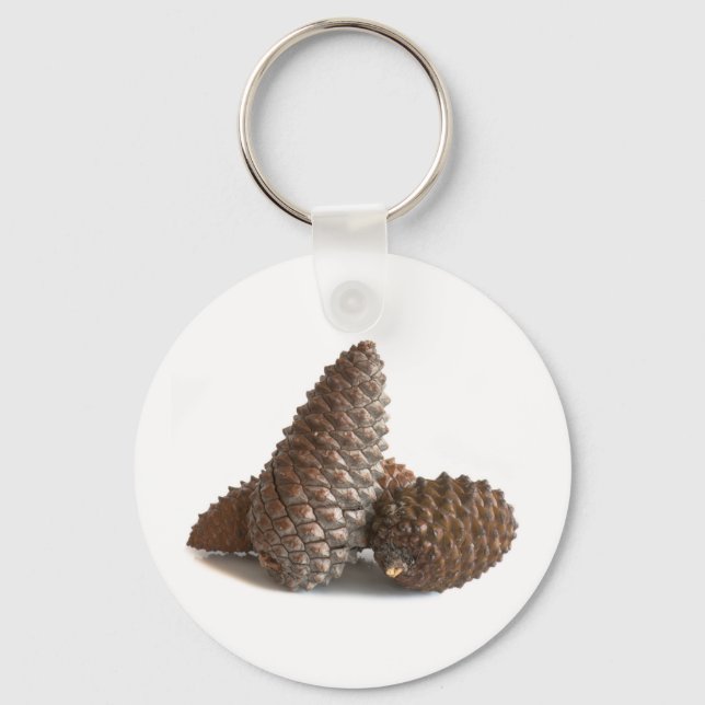 Porte-clés Trois pinecones (Recto)