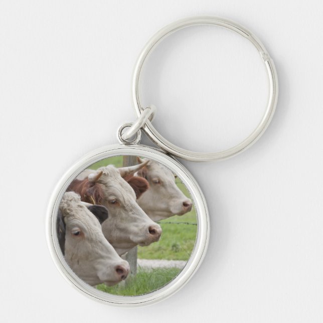 Porte-clés Trois vaches dans un Porte - clé de ligne (Devant)