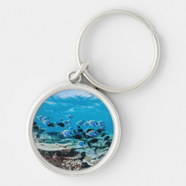 Porte-clés Tropical Beaches | Sturgeon Amongst Coral (Devant)