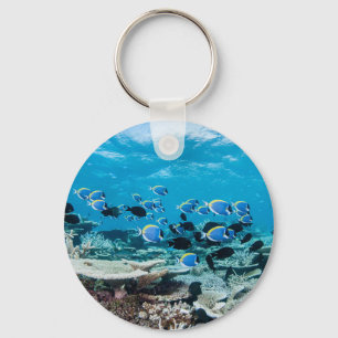Porte-clés Tropical Beaches Sturgeon Amongst Coral