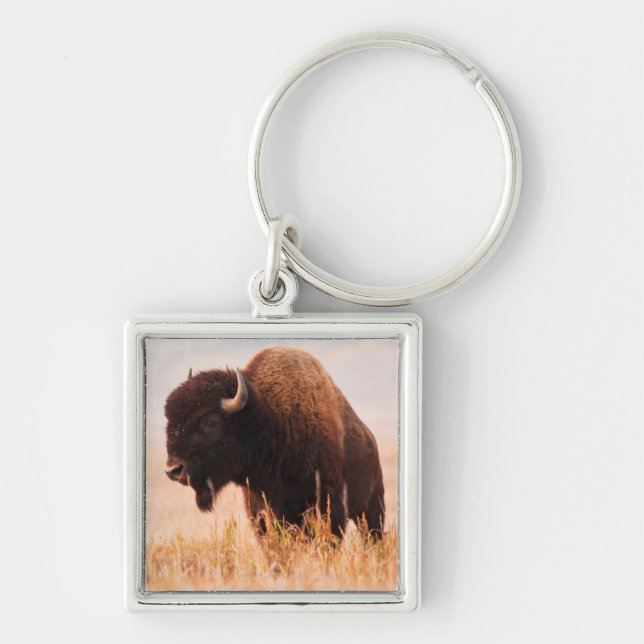 Porte-clés Troupeau de bisons d'Amérique (Bison Bison) à Teto (Devant)