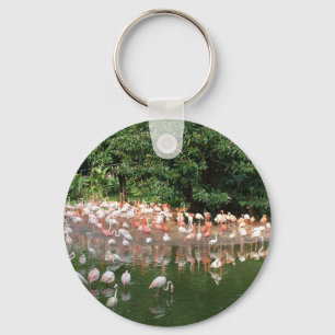 Porte-clés troupeau de flamants