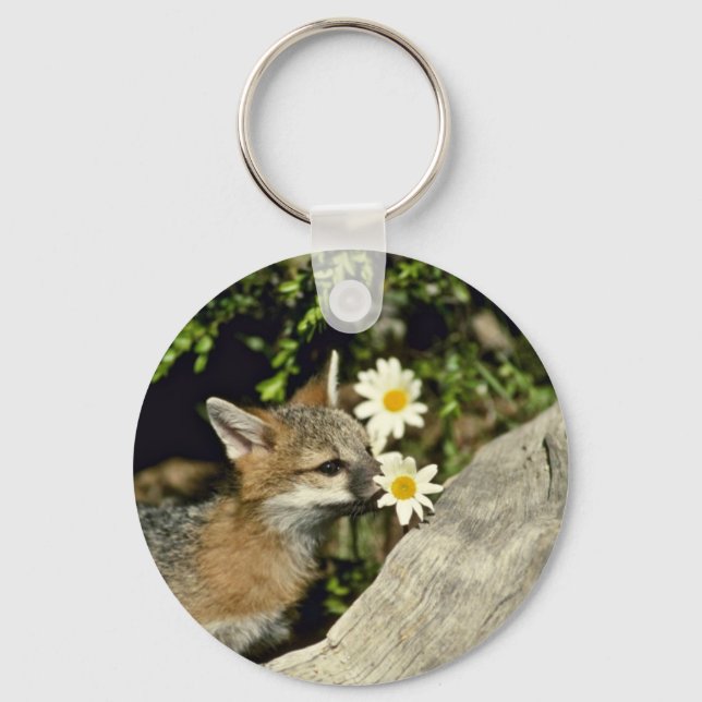 Porte-clés Trousse de renard gris reniflant/mangeant la fleur (Recto)