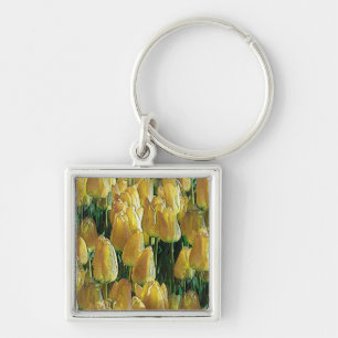 Porte-clés Tulips Sunshine Yellow