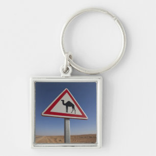Porte-clés Tunisie, région des Ksour, Ksar Ghilane, Grand Erg