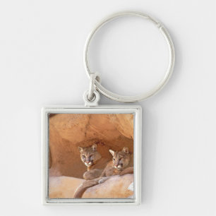 Porte-clés Two Mountain Lions