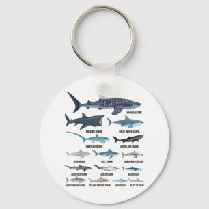 Porte-clés Types De Requins Espèces De Requin Identification