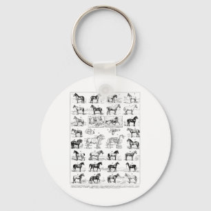 Porte-clés Types vintages De Chevaux Cheval Élevage Horseback