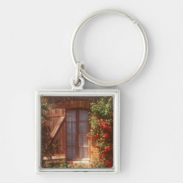 Porte-clés UE, France, Provence, Vaucluse, Apt. Maison 2 (Devant)