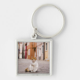 Porte-clés Un chat dans les rues de Burano, Italie.  2006.