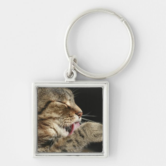 Porte-clés Un chat tigré léchant sa patte (Devant)