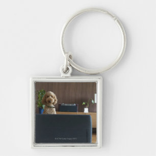 Porte-clés Un chien dans la salle la déchirant