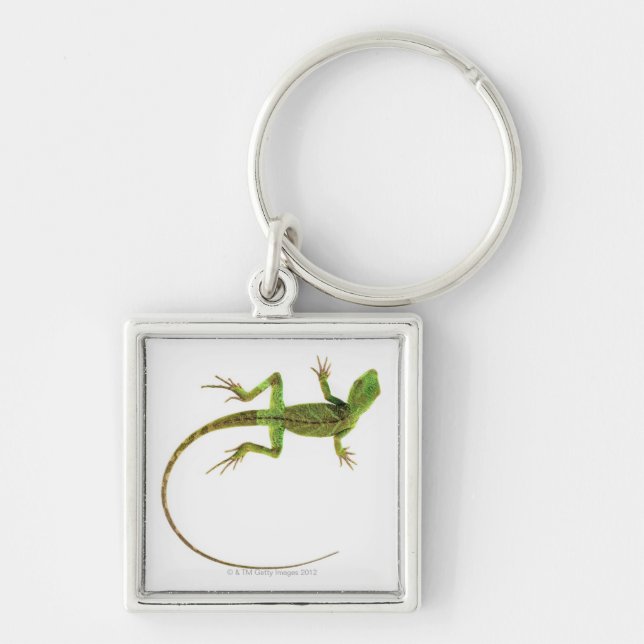 Porte-clés Un lézard sur la terre blanche pure (Devant)