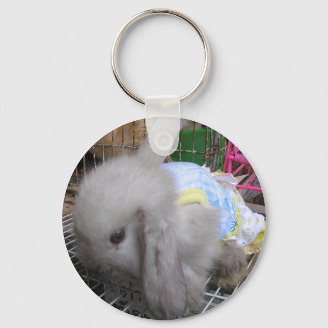 Porte-clés Un mignon lapin en robe (Recto)