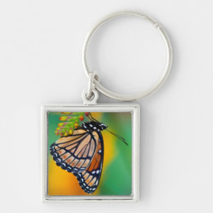 Porte-clés Un papillon amiral sur des fleurs