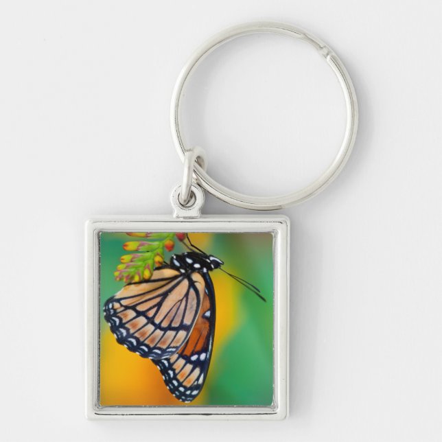 Porte-clés Un papillon amiral sur des fleurs (Devant)