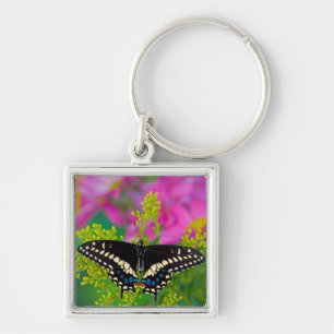 Porte-clés Un papillon Machaon se pose