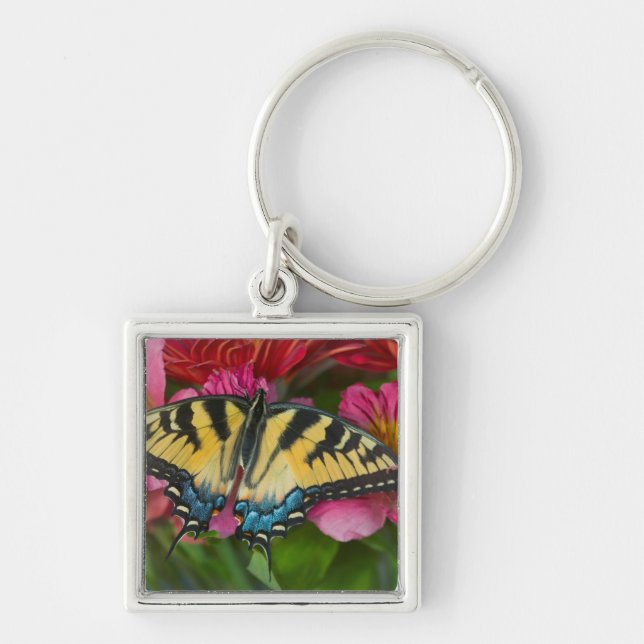 Porte-clés Un papillon Papilio glaucus (Devant)