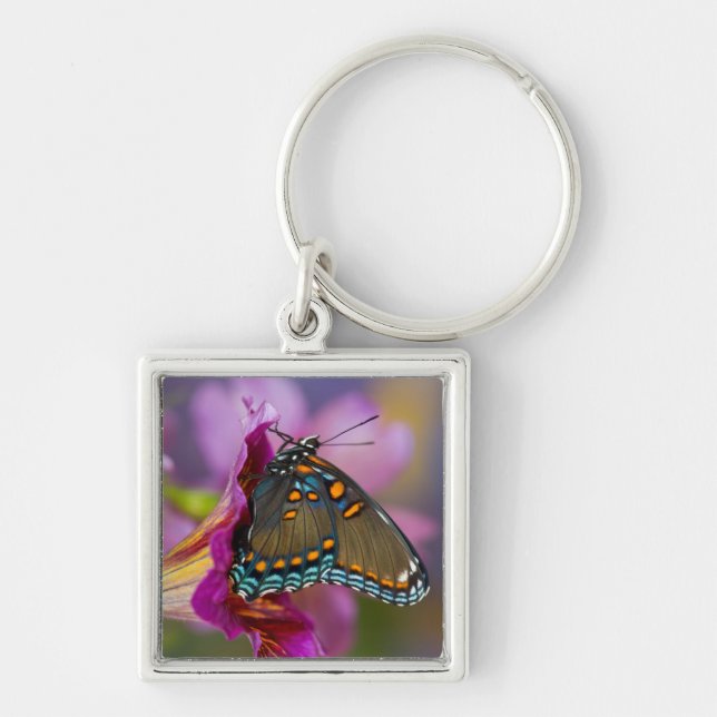 Porte-clés Un papillon swallowtail (Devant)