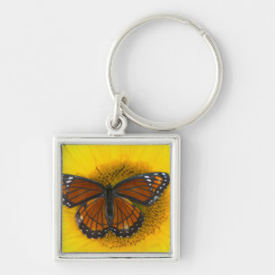 Porte-clés Un papillon vice-roi Limenitis archippus