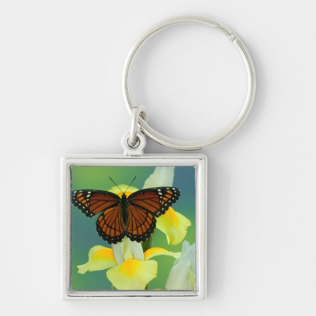 Porte-clés Un papillon vice-roi sur un iris japonais jaune (Devant)