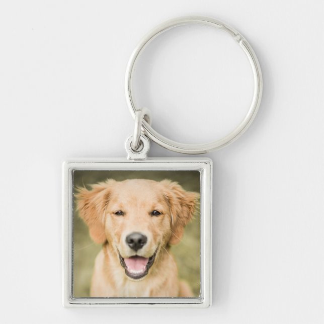 Porte-clés Un portrait d'un chiot de golden retriever (Devant)
