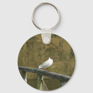 Porte-clés Un sterne - porte - clé