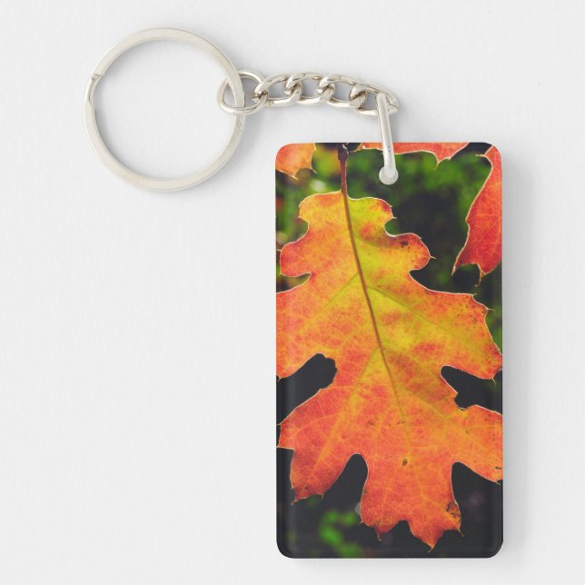 Porte-clés Une feuille de chêne dans la forêt nationale de Si (Devant)