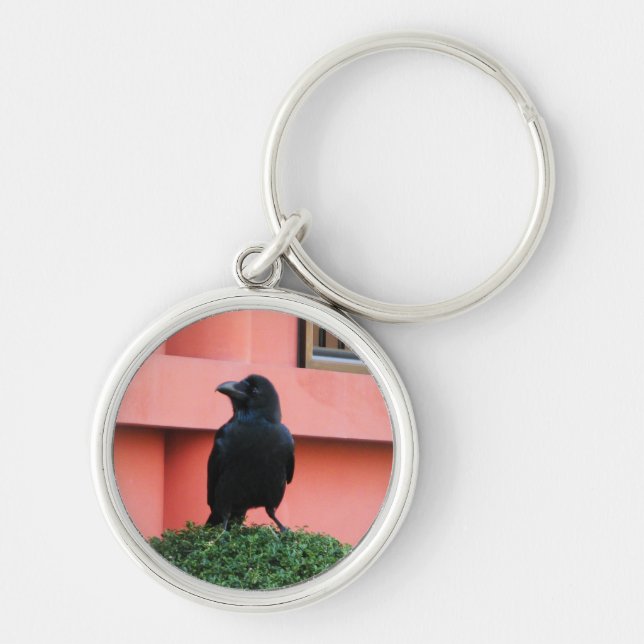 Porte-clés Une Jungle À Gros Billages Croque Une Perche Sur U (Devant)