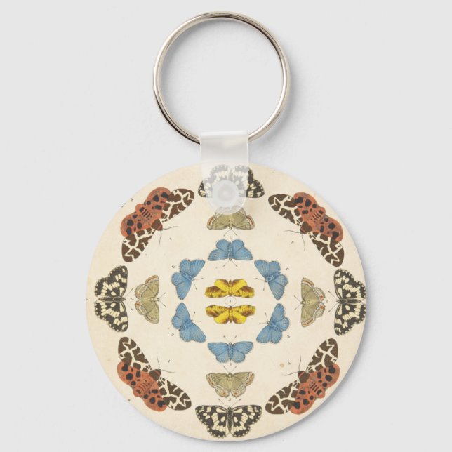 Porte-clés Une rare description de papillons et de papillons  (Recto)
