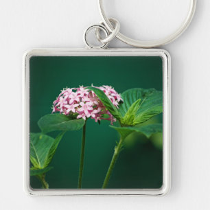 Porte-clés Une touche de rose dans le Porte - clé vert