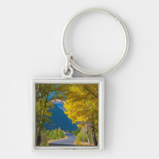 Porte-clés USA, Colorado. Route Flanquée Par Aspens (Devant)
