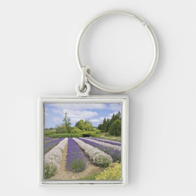 Porte-clés USA, WA, Sequim, Purple Haze Lavender Farm (Devant)