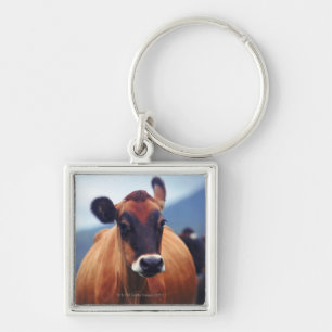 Porte-clés vache