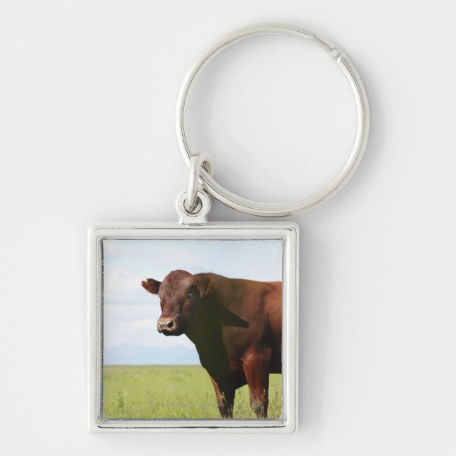 Porte-clés Vache de boucherie dans le domaine (Devant)