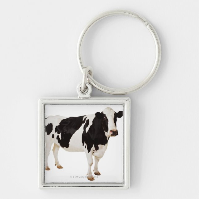 Porte-clés Vache du Holstein (Taureau de Bos) (Devant)