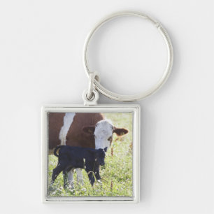 Porte-clés Vache et veau
