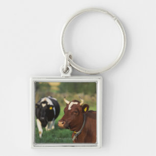 Porte-clés Vache frôlant, Suède