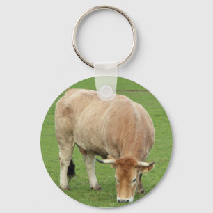 Porte-clés Vache nantaise dans un champ