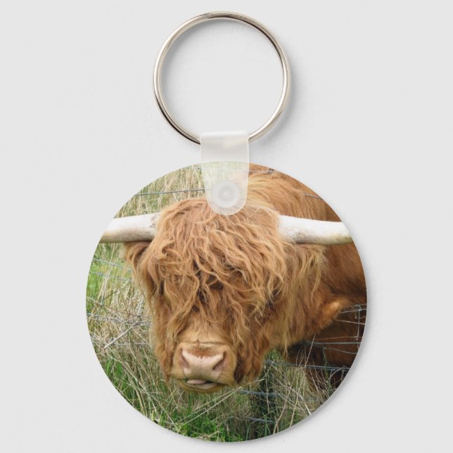 Porte-clés Vache Shaggy Highland (Recto)