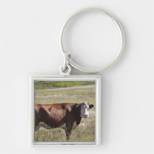 Porte-clés Vache simple dans un domaine