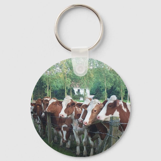 Porte-clés Vaches curieuses (Recto)
