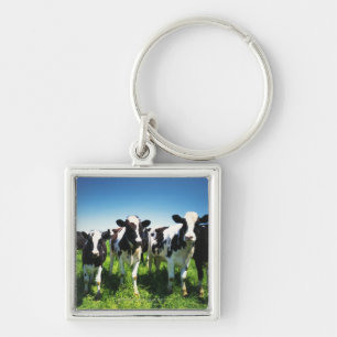 Porte-clés Vaches dans le domaine, ville de Betsukai,